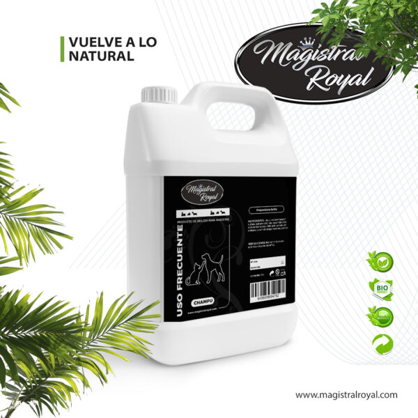 CHAMPU M.R USO FRECUENTE 5L